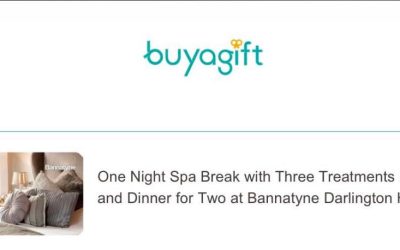 An Incredible Charity Ball Prize Donation